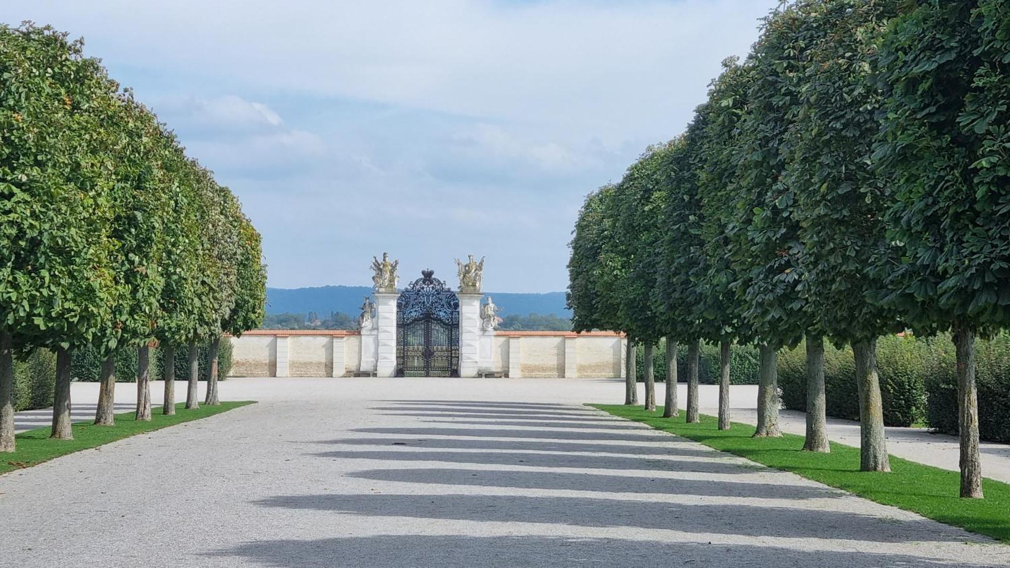 Birkenhof Gols - B & B - Wohlfuehl Hotel Mit Wochenend-Restaurant المظهر الخارجي الصورة