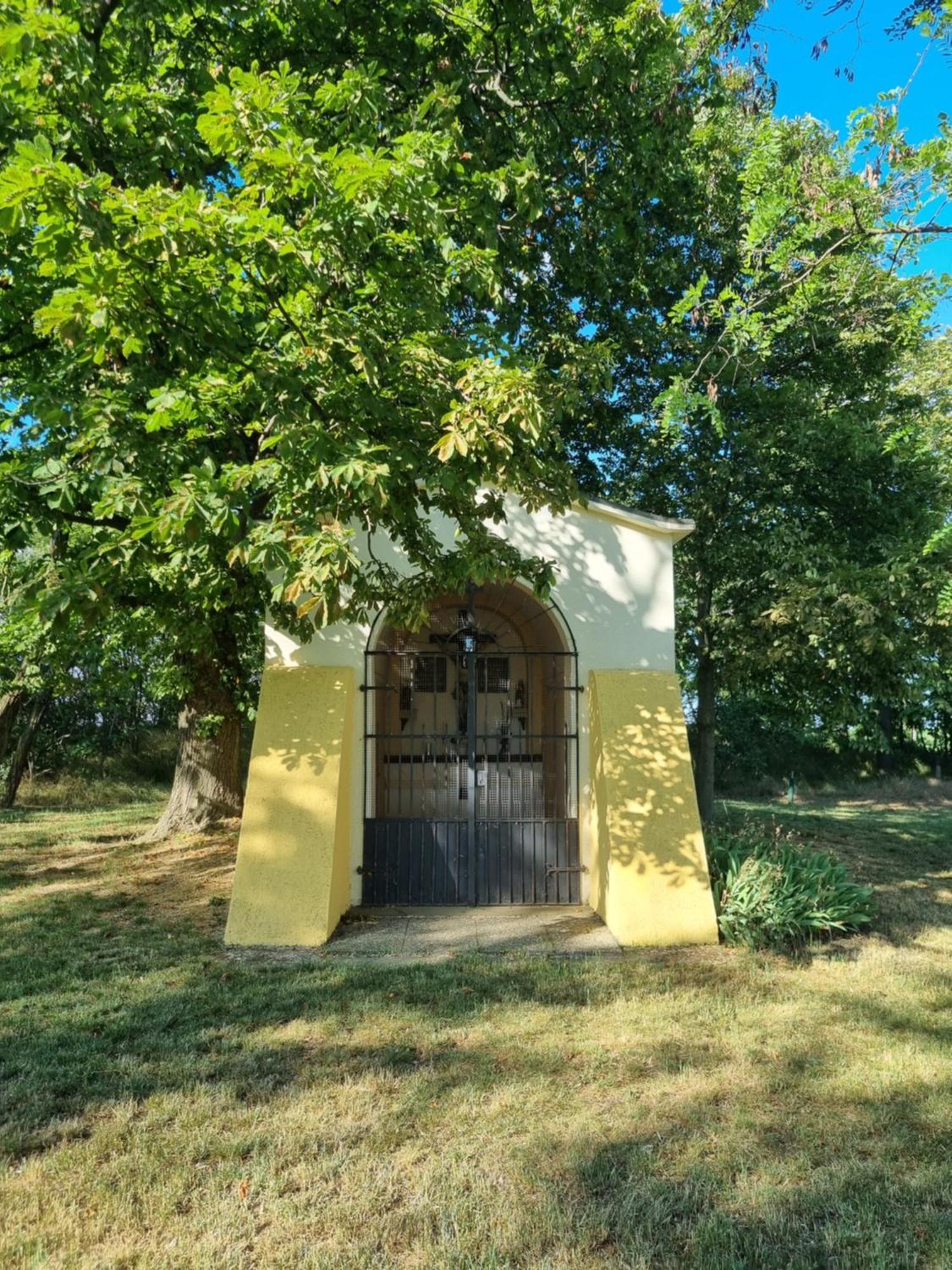 Birkenhof Gols - B & B - Wohlfuehl Hotel Mit Wochenend-Restaurant المظهر الخارجي الصورة