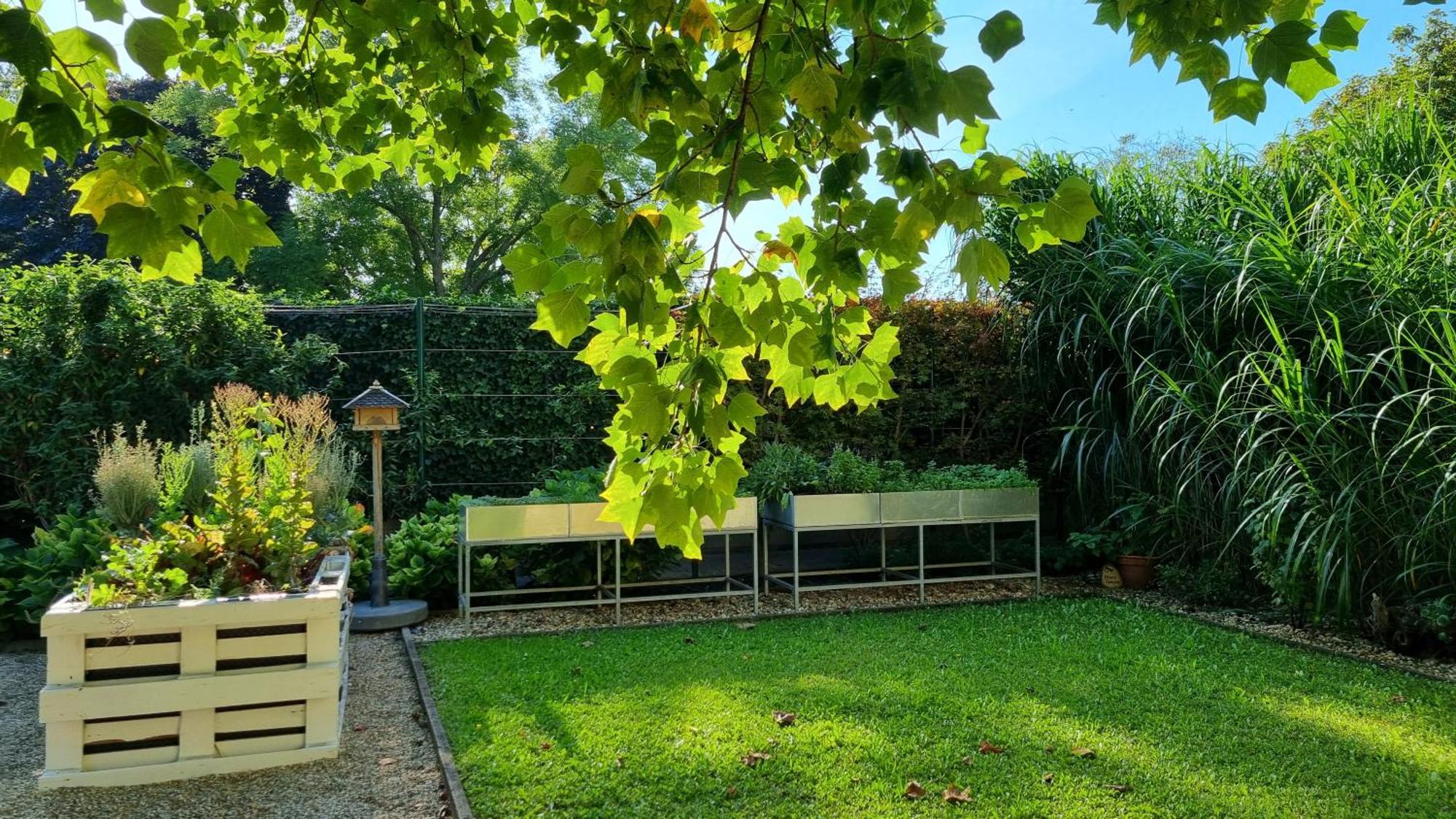 Birkenhof Gols - B & B - Wohlfuehl Hotel Mit Wochenend-Restaurant المظهر الخارجي الصورة
